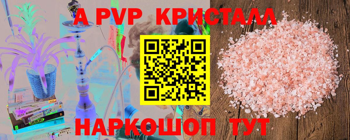 APVP СК Унеча