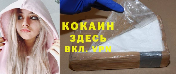 крисы Мегион