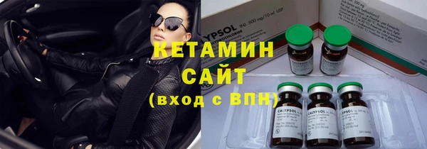 крисы Мегион