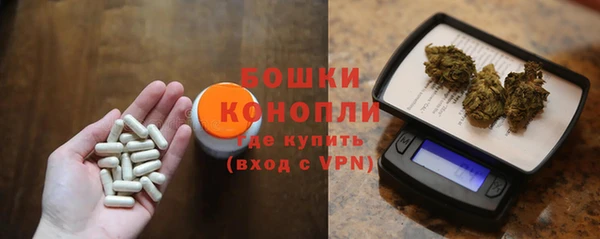 крисы Мегион