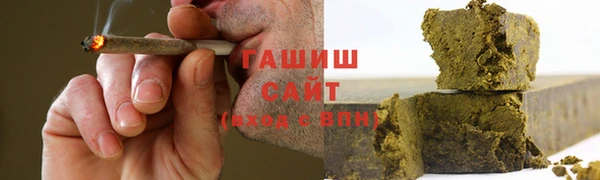 крисы Мегион