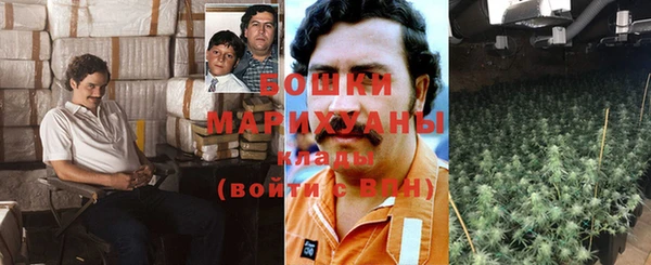 гидра Медногорск