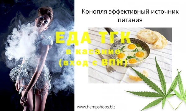 гидра Аша