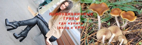 гидра Медногорск