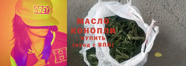 крисы Мегион