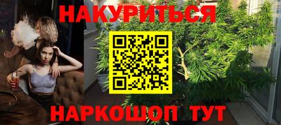 скорость Кингисепп
