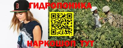 скорость Кингисепп