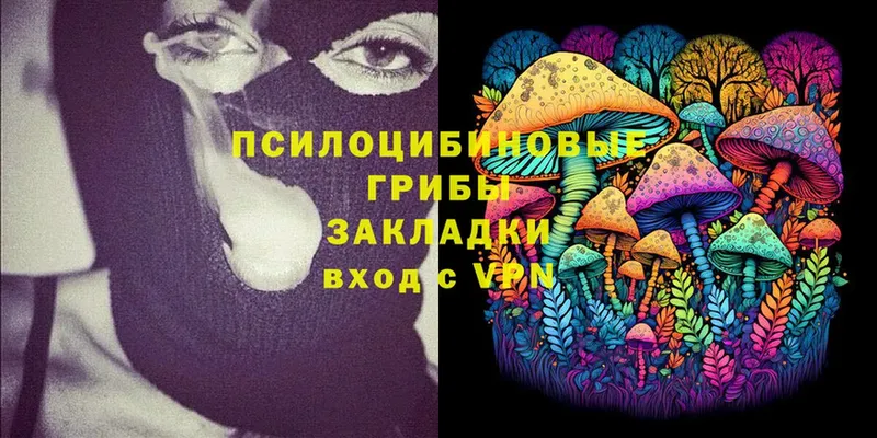 Псилоцибиновые грибы Psilocybine cubensis  цена   darknet формула  Унеча 