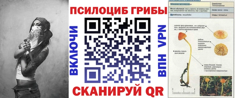 Галлюциногенные грибы Cubensis  Унеча 