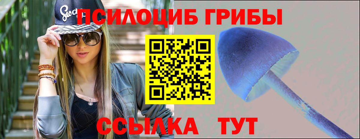 Псилоцибиновые грибы GOLDEN TEACHER Унеча