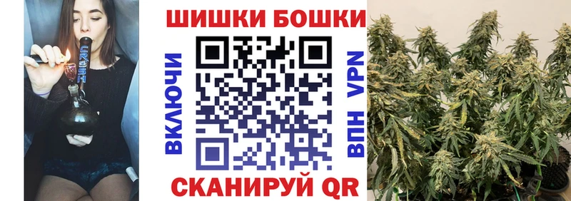 где купить наркоту  Унеча  Конопля сатива 